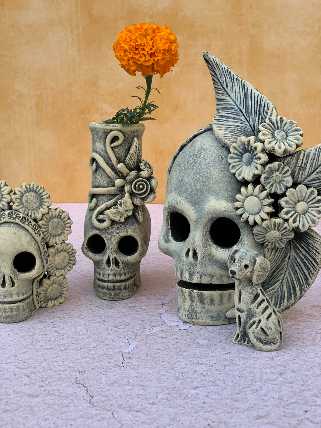 Ceniza Large Calavera