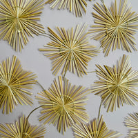 Popotillo Medium Star Ornaments Set