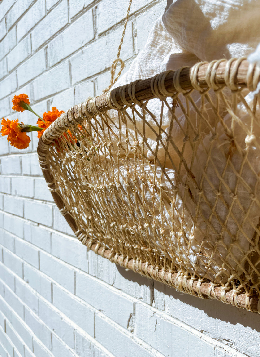 Efigenia Hanging Basket