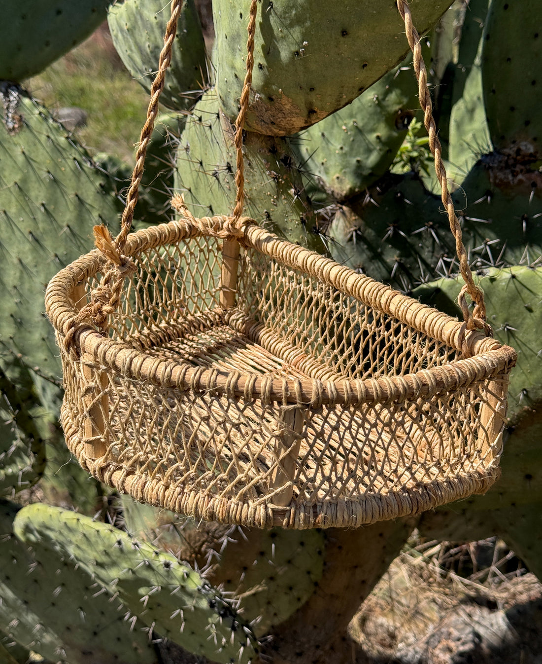 Alicia Hanging Basket