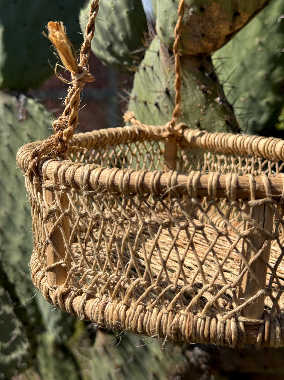 Alicia Hanging Basket