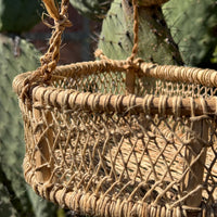 Alicia Hanging Basket