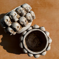 calavera blanca planter