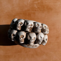 calavera blanca planter