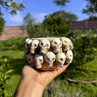 calavera blanca planter