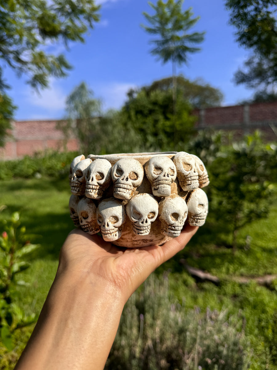 calavera blanca planter