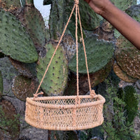 Alicia Hanging Basket