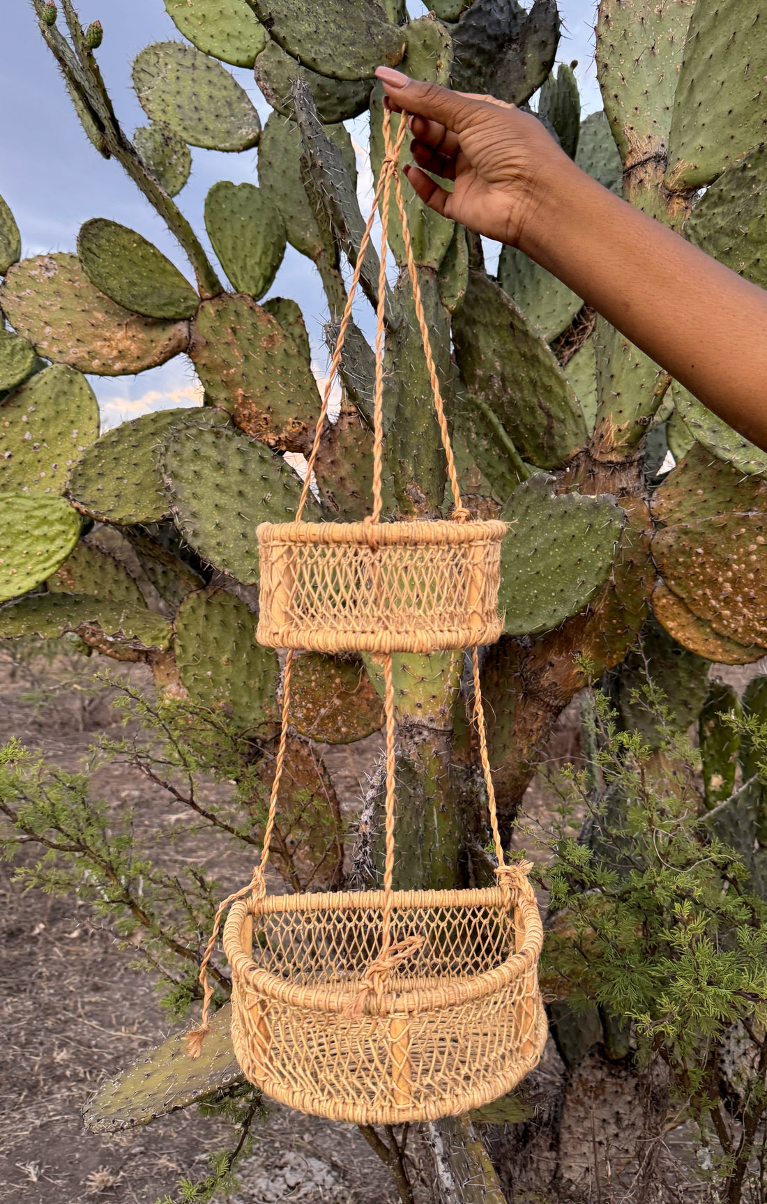 Aurora Hanging Basket