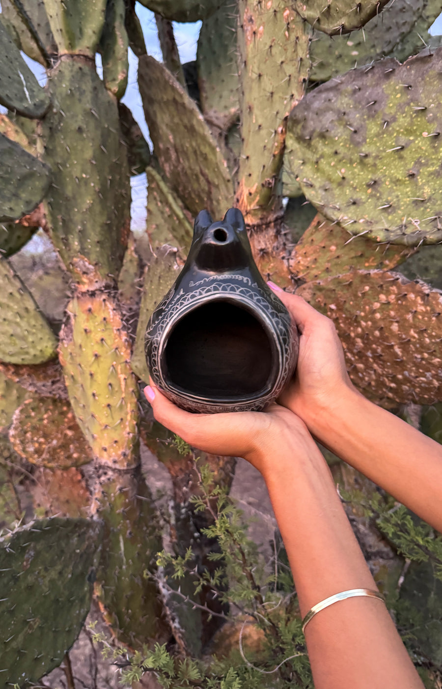 El Coyote Chimney